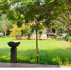 Taman