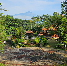 Area Parkir