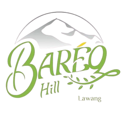Logo The Bareq Hill Resort